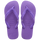 Dark Purple/Dark Purple