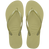 Mandacaru Green
