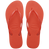 Frevo Red