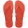 Frevo Red