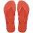 Frevo Red