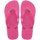 Pink Flux/Pink Flux