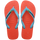 Frevo Red