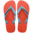 Frevo Red