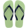 Citronela