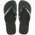 Green Olive/Green Olive
