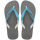 Stell Gray/ Tradi Blue