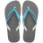 Stell Gray/ Tradi Blue