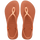 Cerrado Orange