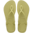 Mandacaru Green