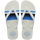 White/White/Blue