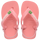 Pink Mango