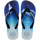 White/Navy Blue
