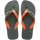 Green Olive/Green Olive