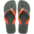 Green Olive/Green Olive