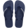Navy/Navy