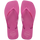 Rose Gum