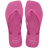 Rose Gum