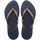 Navy / Blue Indigo