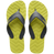 Wild Lime