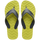 Wild Lime