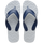 Ice Grey