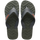 Green Olive