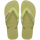 Mandacaru Green