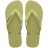 Mandacaru Green