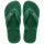 Green Olive