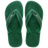 Green Olive