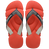 Frevo Red