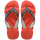 Frevo Red