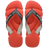 Frevo Red