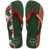 Green Olive