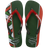 Green Olive