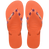 Sunset Orange