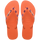 Sunset Orange