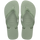 Smoke Green