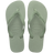 Smoke Green