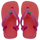 Coral/Pink