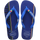 Brilliant Blue