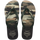 Black/Green Olive