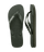 Green Olive