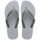 Ice Grey