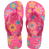 Rosa Flux/Rosa Gum