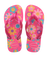 Rosa Flux/Rosa Gum