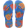 Brilliant Blue