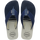 White / Blue Indigo