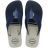 White / Blue Indigo